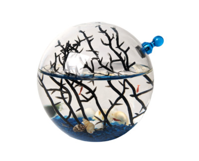 Shrimp Ecosphere - Closed Aquatic Ecosystem Small Round