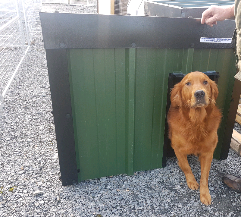 Kingspan insulated dog kennels chew proof in Armagh, County Armagh