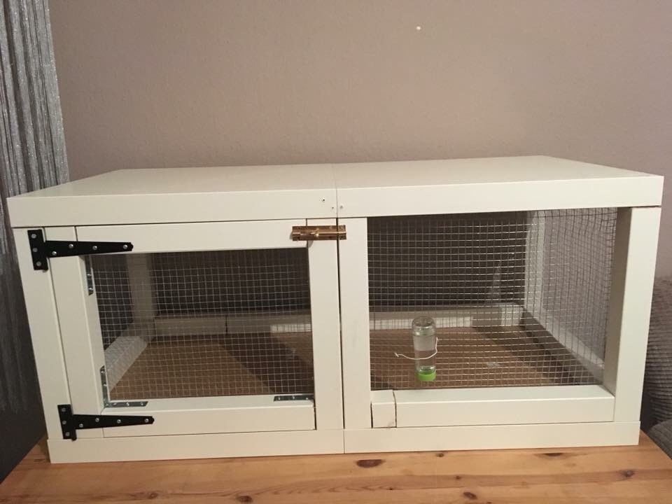 Handmade Hamster Cage In Chopwell Tyne And Wear Gumtree