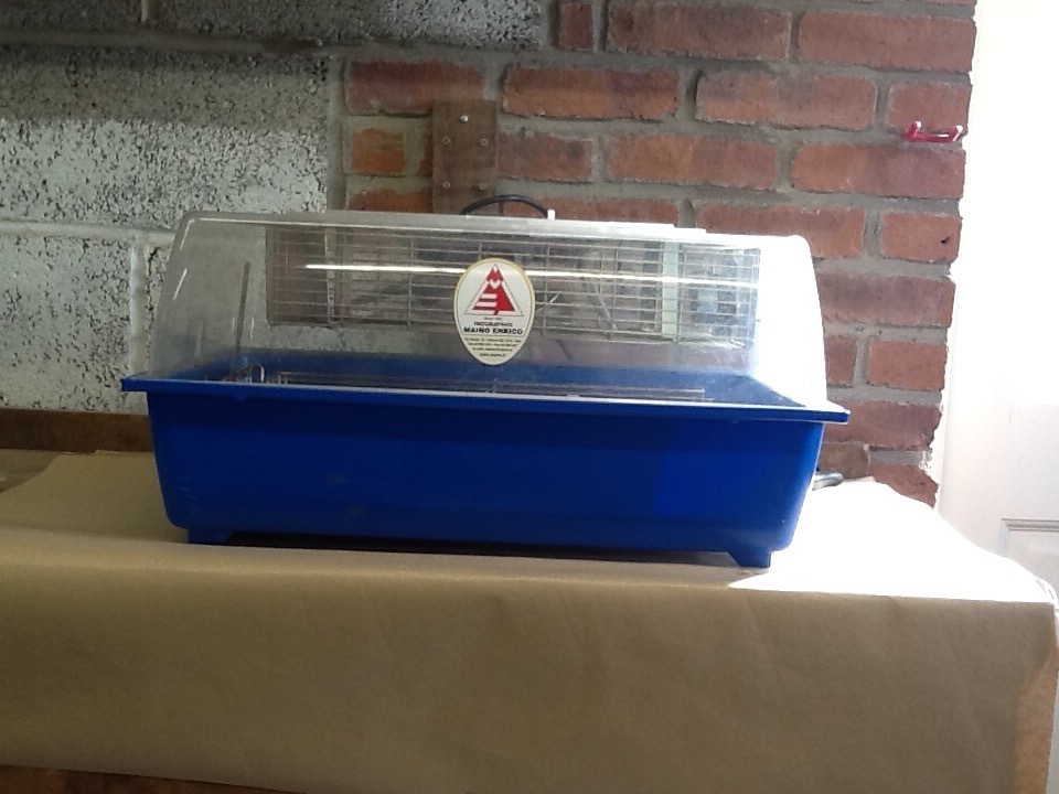 Egg incubator gumtree