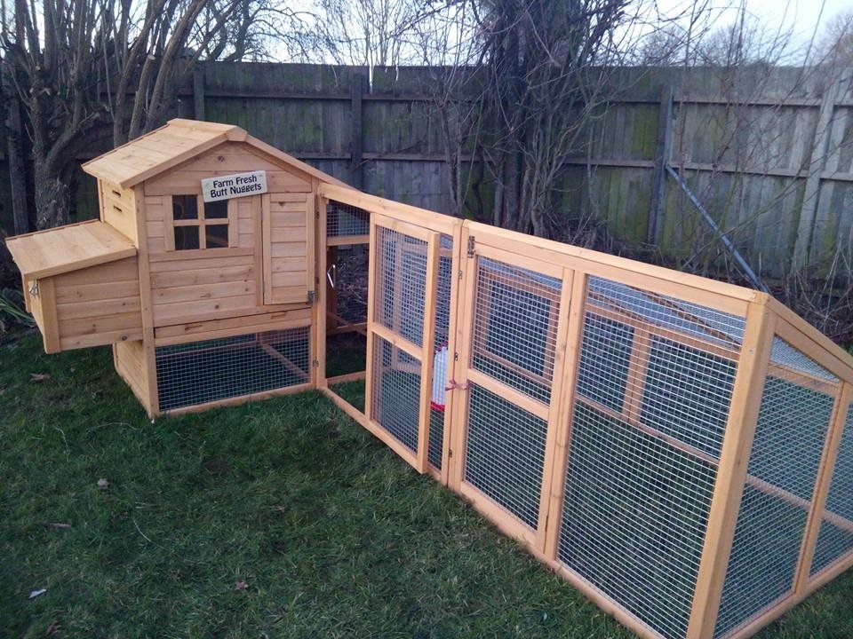 Large Chicken Coop With Double Run Hanging 3l Waterer And 3kg Feeder In Colchester Essex Gumtree