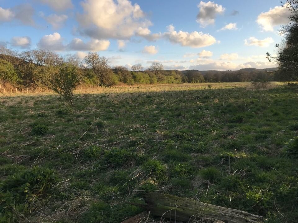 1 Acre field available to rent in North East Fife. in Cupar, Fife