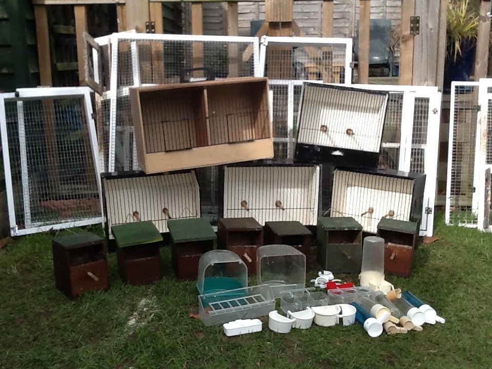 Bird show cages,nest boxes,assortment of indoor flight cages,drinkers