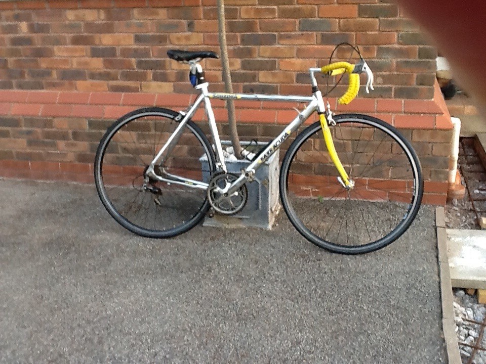 small cycle for adults