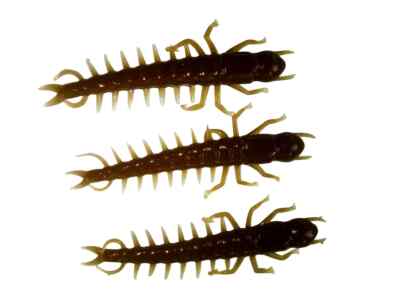 16 pack of 3'' Hellgrammite soft plastic lures - choose from 10 colors - USA made