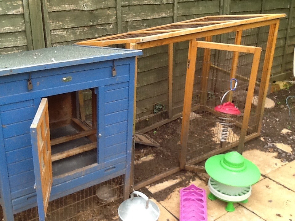Chicken Coop and Equipment in Downend, Bristol Gumtree
