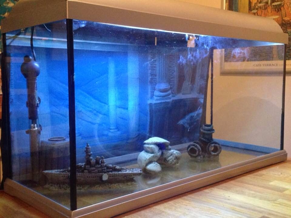 Large Glass Fish Tank/Aquarium 80cmWx41cmHx30cmD / 31"Wx16"Hx11.75"D with light in Falmouth
