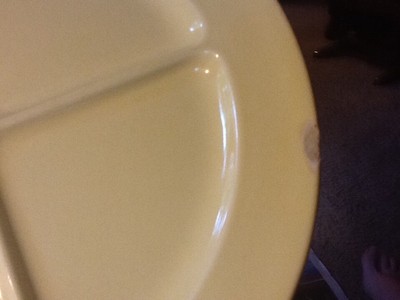 LuRay TS&T -3 Compartment Divided Grill Plate 10