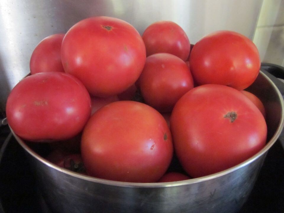 Tomato Seeds, Count 50 Ace 55 Heirloom Organic Non - Hybrid Non - Gmo