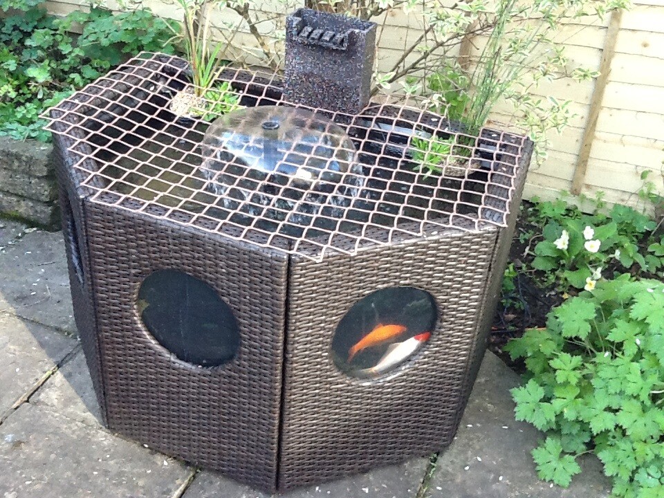 Blagdon Half Moon Pond in Stonehouse, Gloucestershire Gumtree