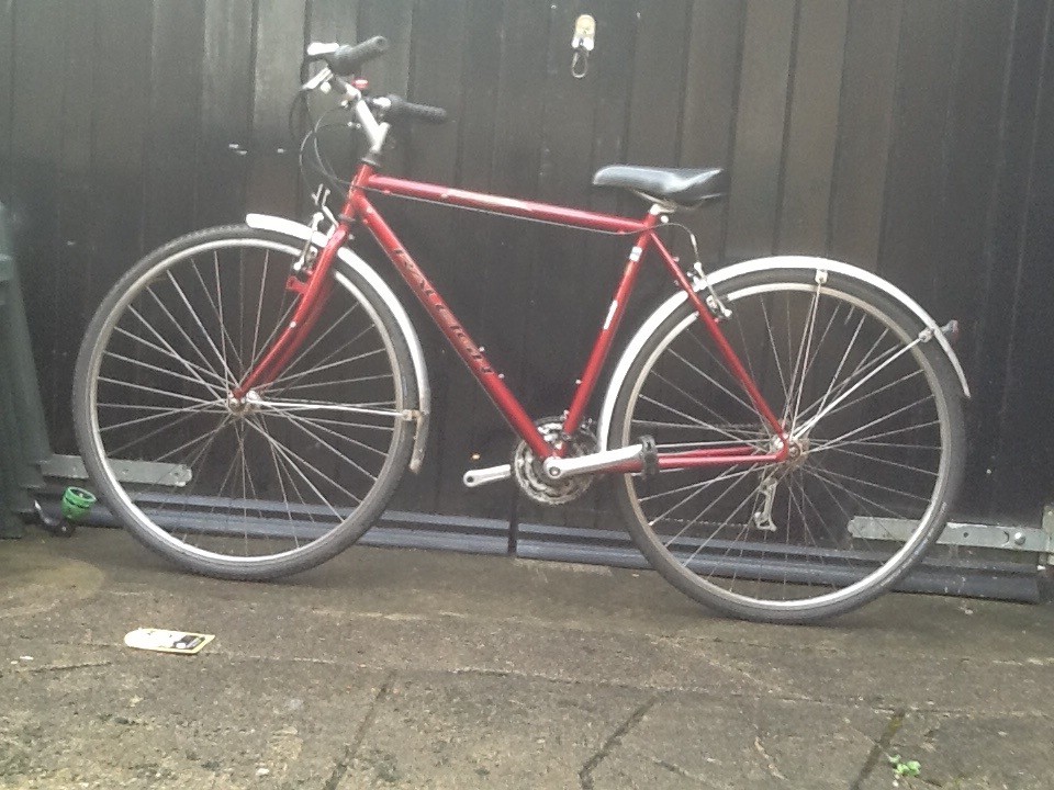 raleigh pioneer tour 700