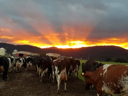 Farm Hand Break ODay Area Preview