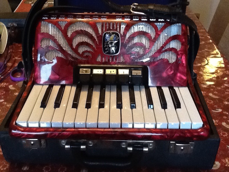 Accordion in Earlston, Scottish Borders Gumtree