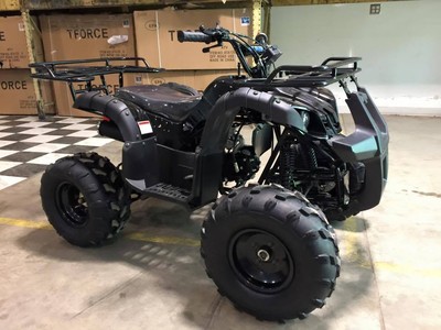 BIG ATV 125cc Youth ATV TAOTAO T FORCE Utility Kids 4 wheeler FREE SHIP 125CC