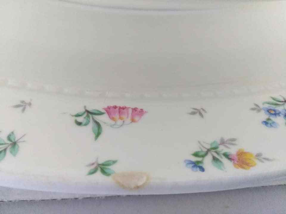 Harmony House Monticello Dinnerware 25 pcs 1941-59 FILM PROP Christmas Holiday
