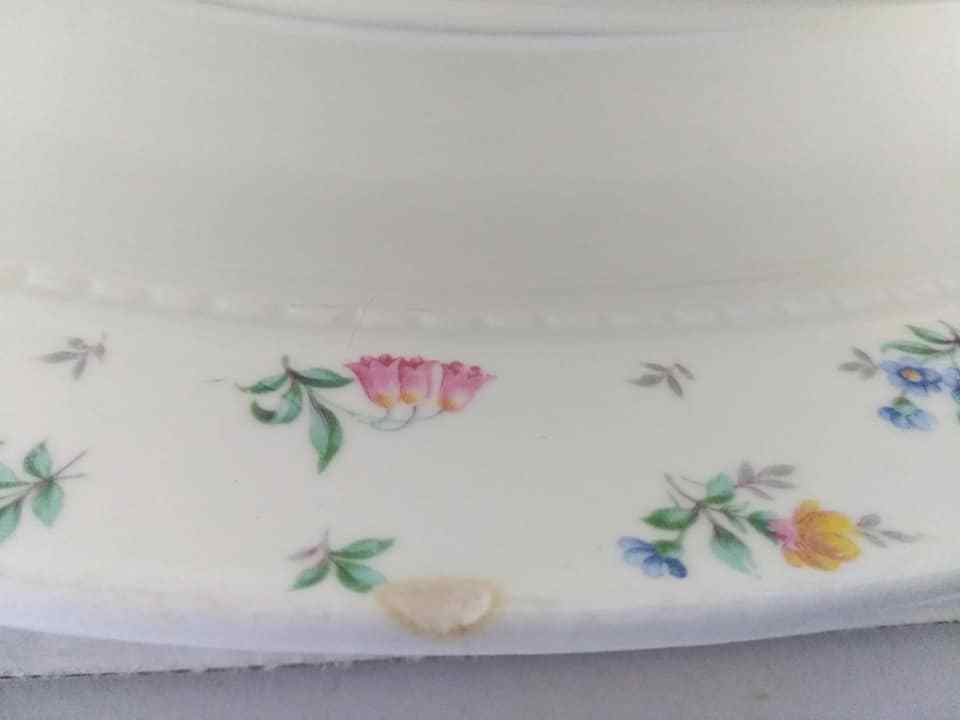 Harmony House Monticello Dinnerware 25 pcs 1941-59 FILM PROP