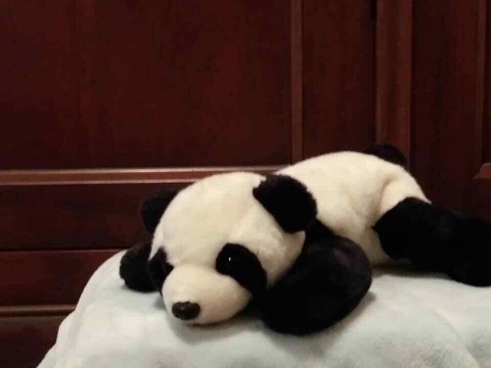 1998 Retired Ty Beanie Buddy 