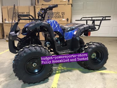 BIG ATV 125cc Youth ATV TAOTAO T FORCE Utility Kids 4 wheeler FREE SHIP 125CC