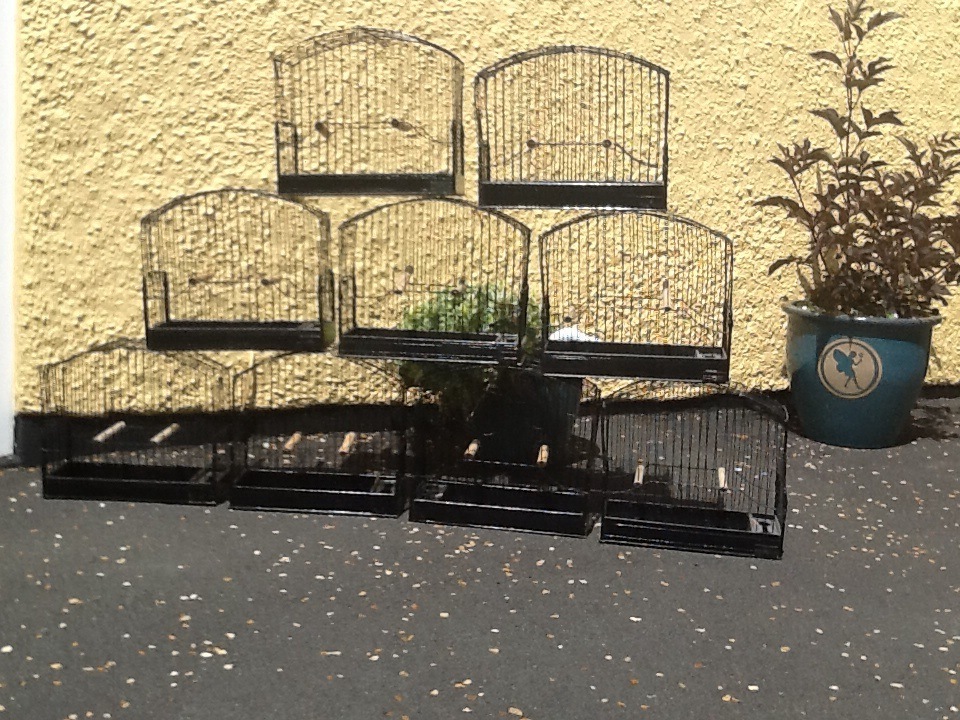 Border/fife canary training cages x 9 in Holyhead, Isle of Anglesey