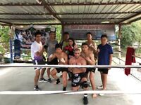 Thailand Muay Thai and Wellness tour