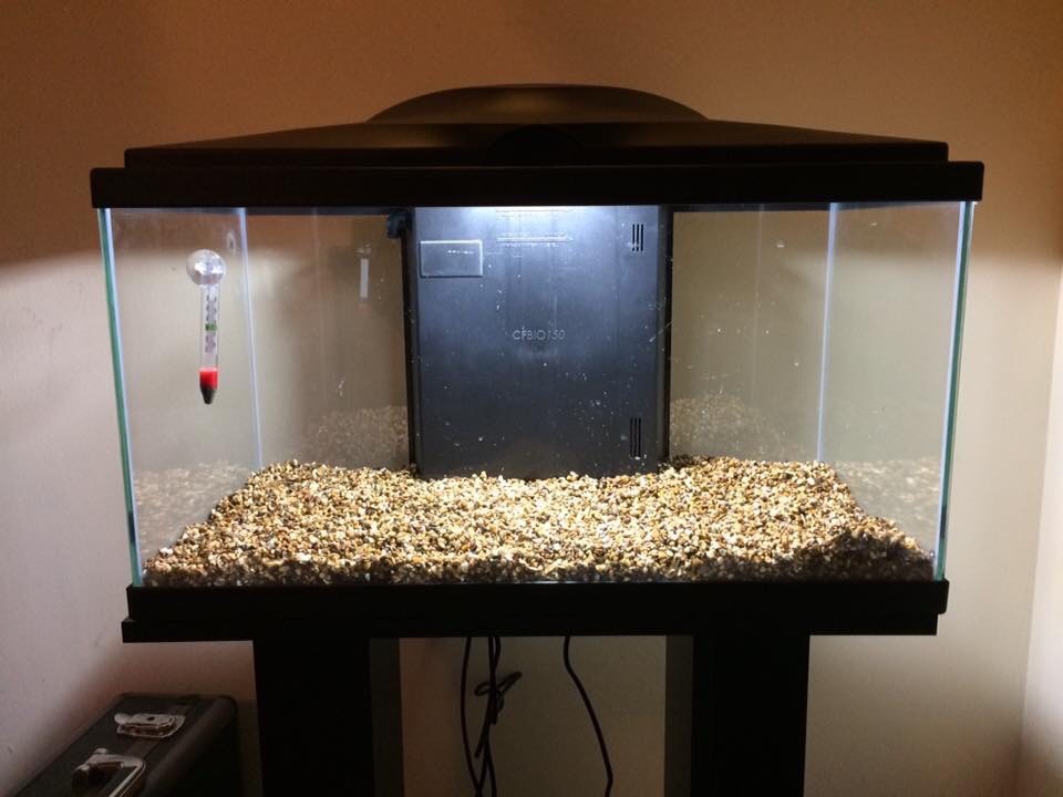 60L fish tank full set up in Willington, County Durham Gumtree