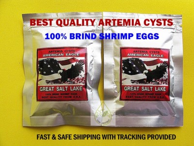 Brine Shrimp Egg American Eagle 100g. USA PREMIUM Artemia Cysts Fish Quality 90%