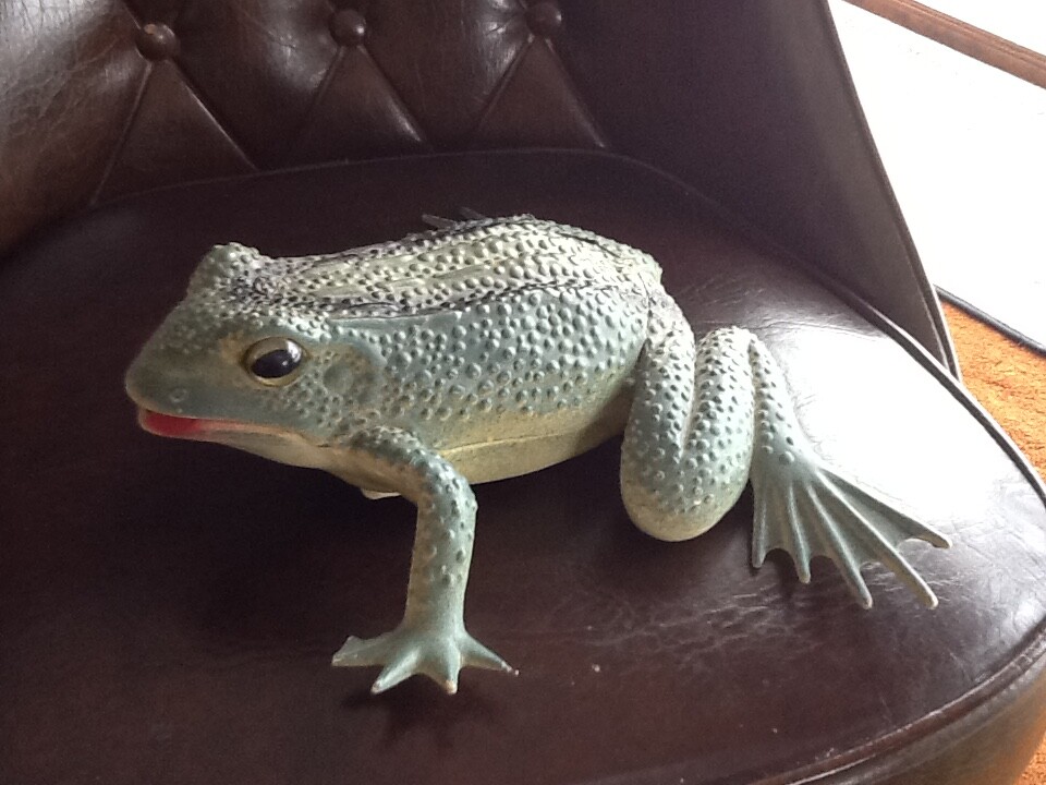 Motion detector frog shape. Sends three warnings frog style. Garden. Man cave.