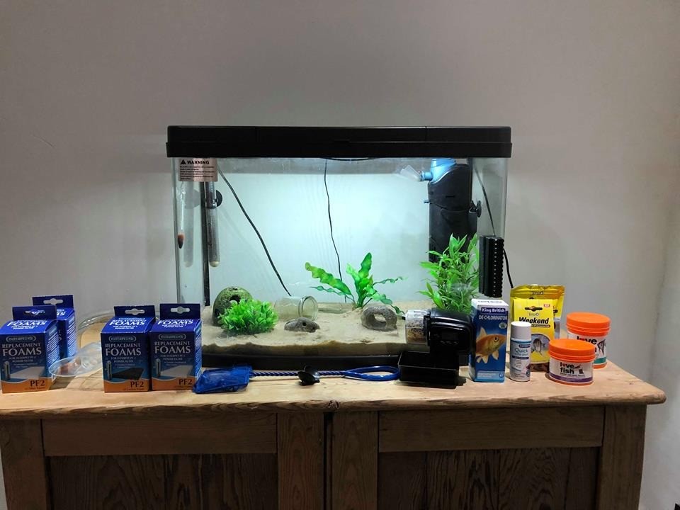 Love Fish Panorama 64 litre fish tank/aquarium and accessories in RossonWye, Herefordshire