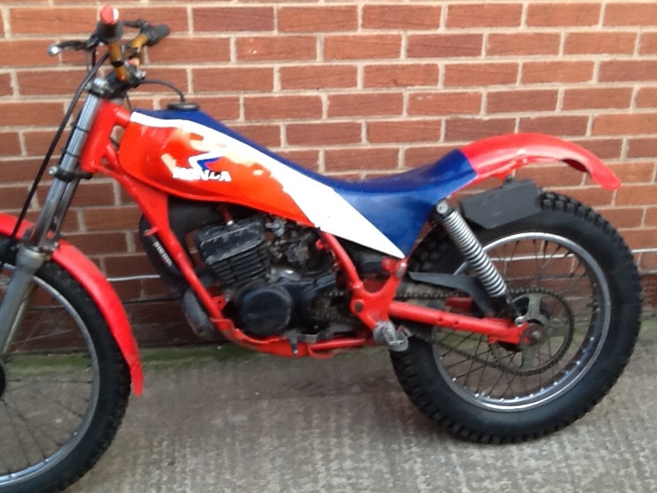 Honda tlm 50