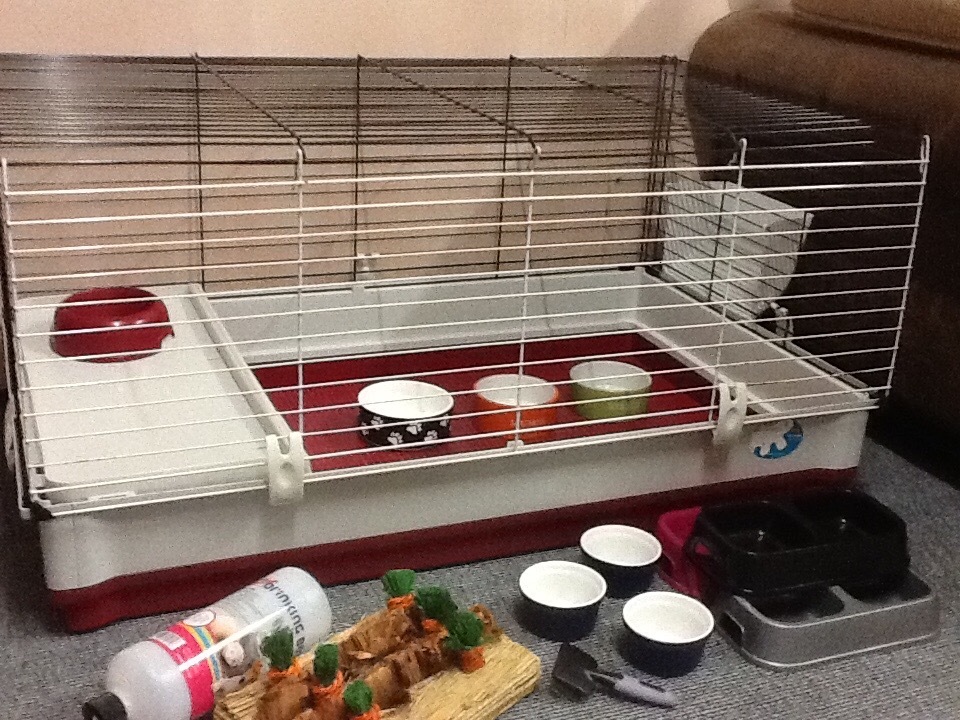 Large indoor rabbit cage with extras in Didcot, Oxfordshire Gumtree