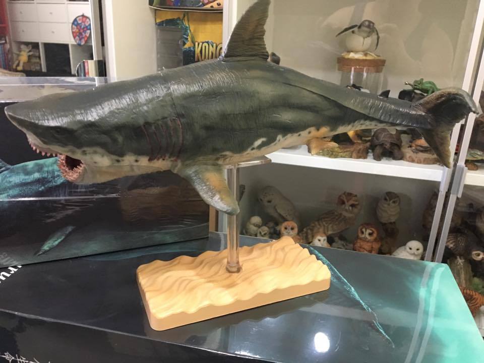 Dinosaur Vinyl PVC Model Figure Figurine Megalodon Shark 1/60 Scale
