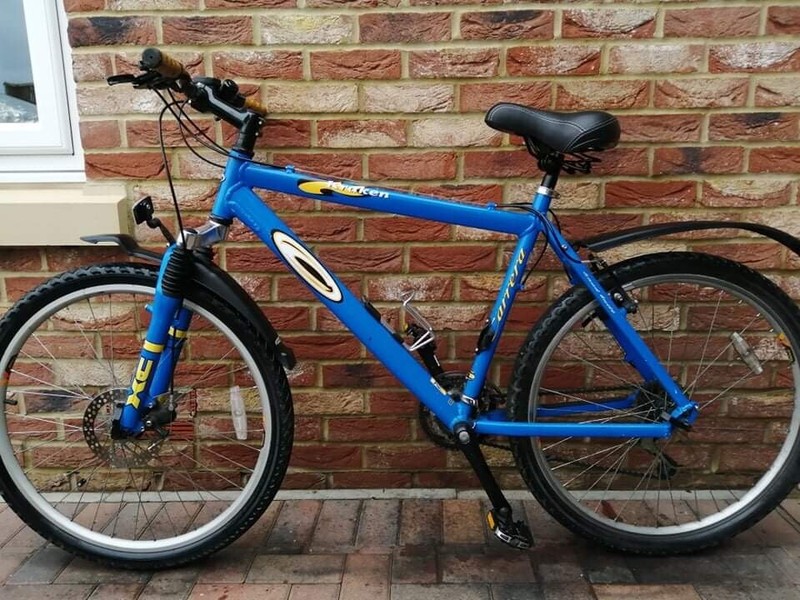 gumtree womens bike