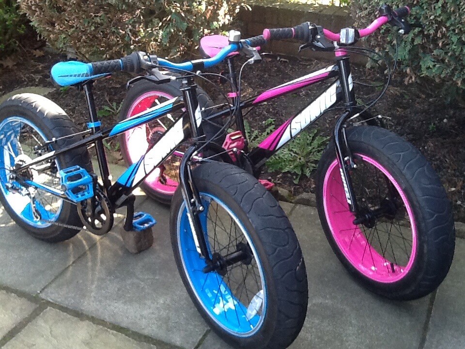 Sonic bulk bikes 1 pink girls and 1 blue boys good condition in