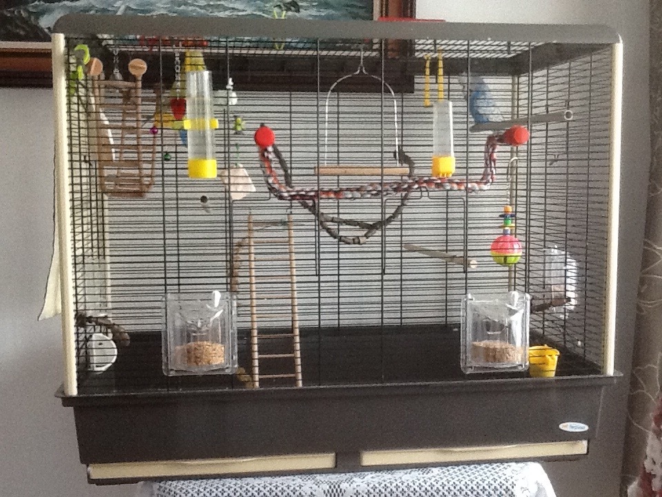 Large budgie cage. Ferplast. Excellent condition. Ideal for two or more birds in