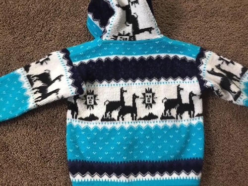 Yari Artesanias kids size 6 Jacket 100% Wool Zip Up Hoodie Lama Multicolored