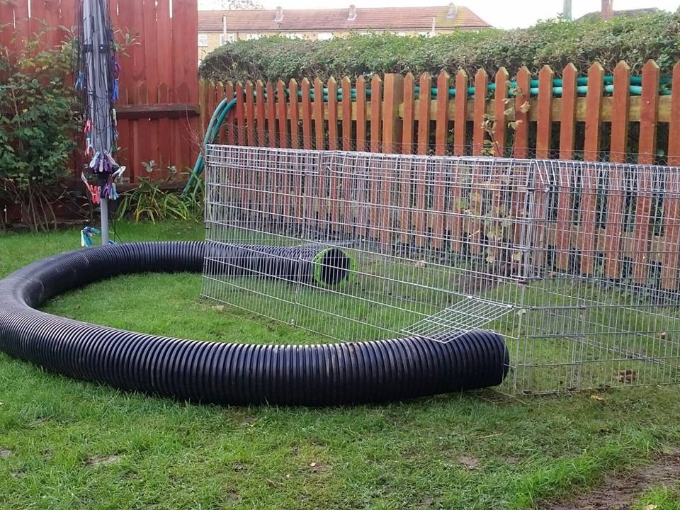 LARGE RUNAROUND RABBIT RUN AND LARGE BLACK PIPE AND CONNECTOR in