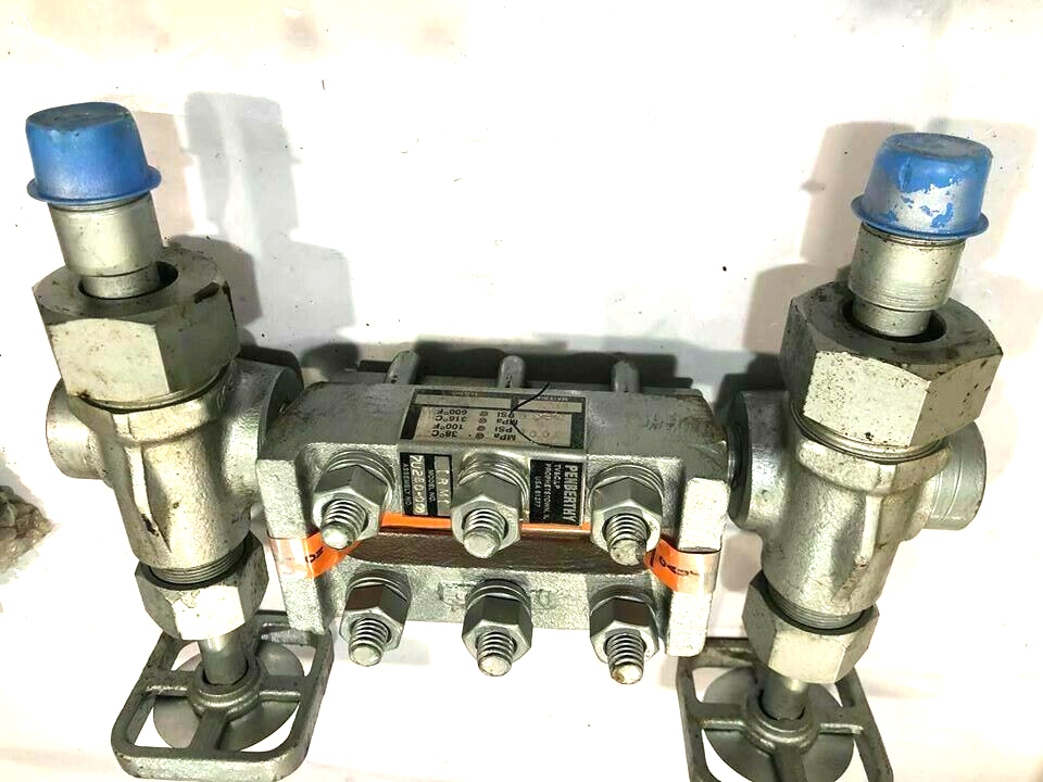 Penberthy 1RL5 Liquid Level Gage with TWO 330J Gagecock 4000 PSI - Picture 1 of 7