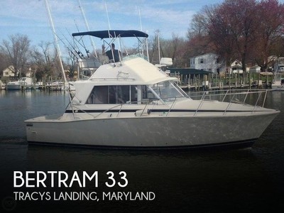1977 Bertram 33 Used