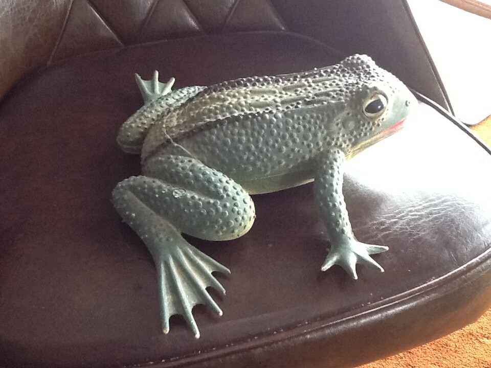 Motion detector frog shape. Sends three warnings frog style. Garden. Man cave.