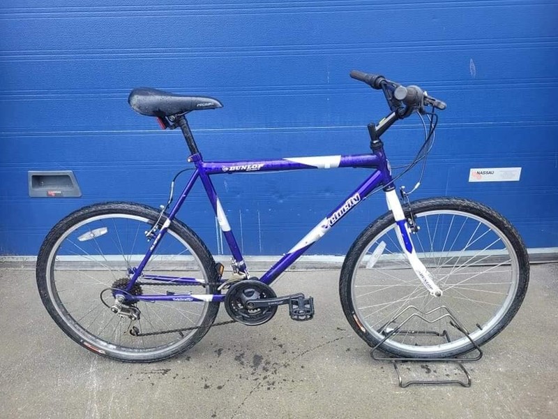 dunlop twist 1.0 folding bike