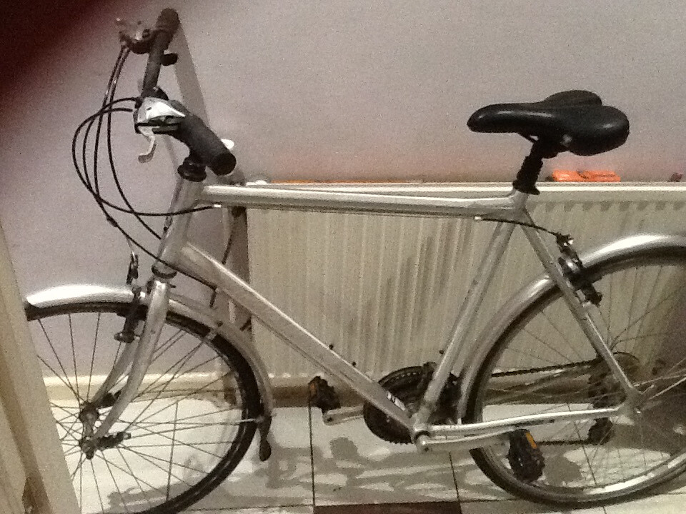 marin larkspur hybrid