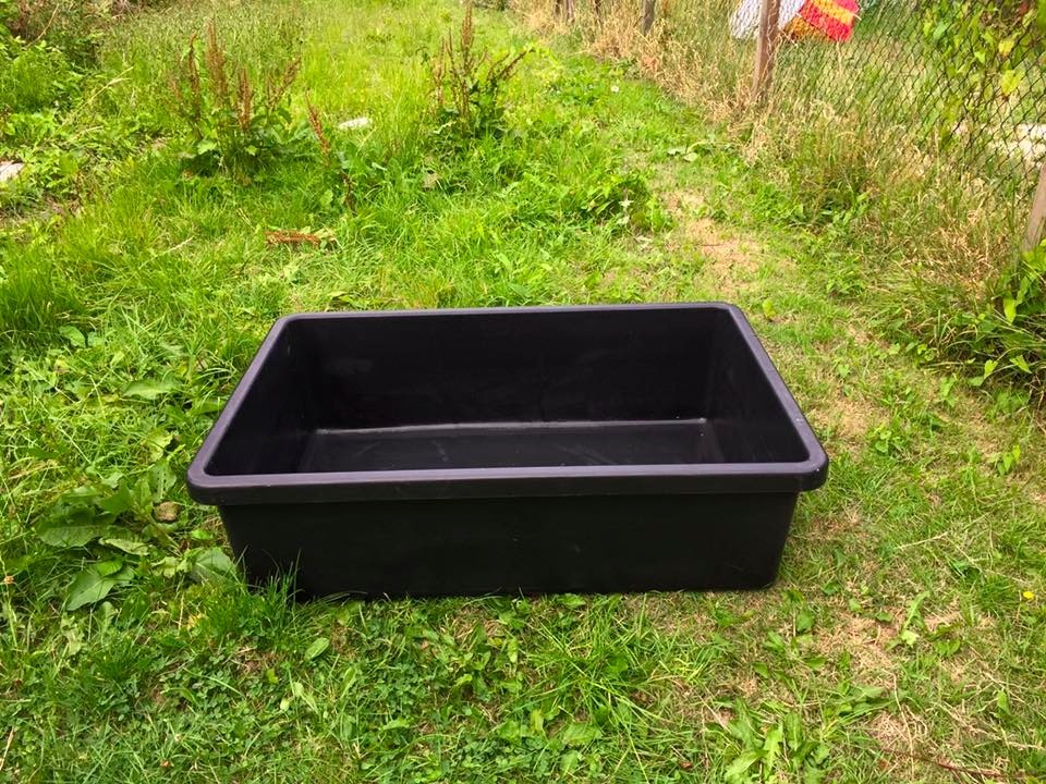 Rectangular Fish Pond