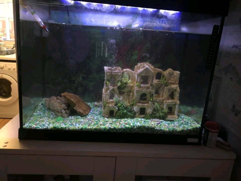 100 Litre Aquarium, fish tank in Milton Keynes