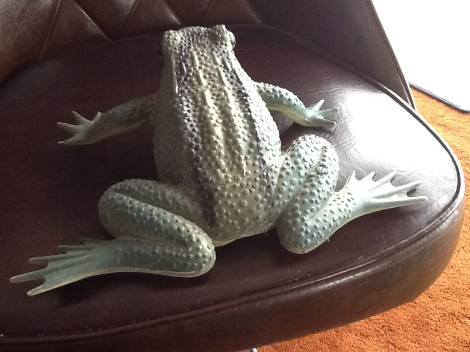 Motion detector frog shape. Sends three warnings frog style. Garden. Man cave.