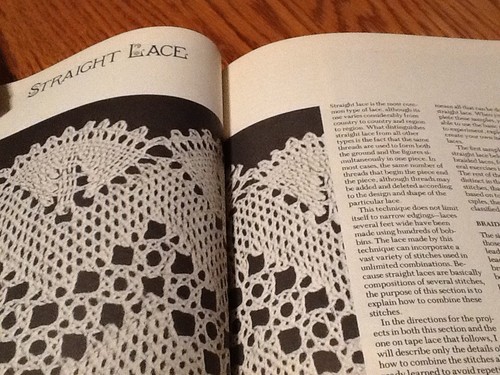Bobbin Lace By Brigita Fuhrmann