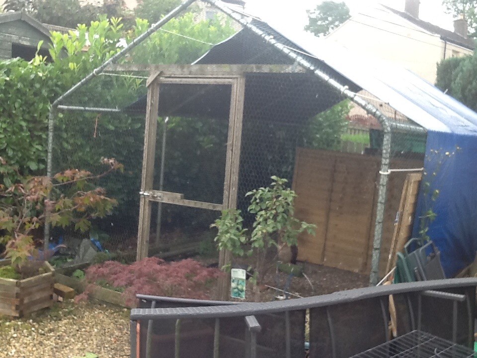 Large Walk In Chicken Runanimal Enclosure In Lanark South Lanarkshire Gumtree