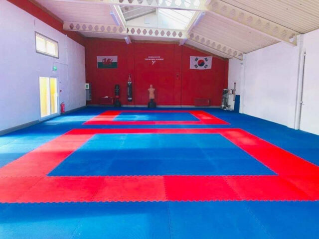 70 X 20mm Red Blue Premium High Density Jigsaw Mats Martial
