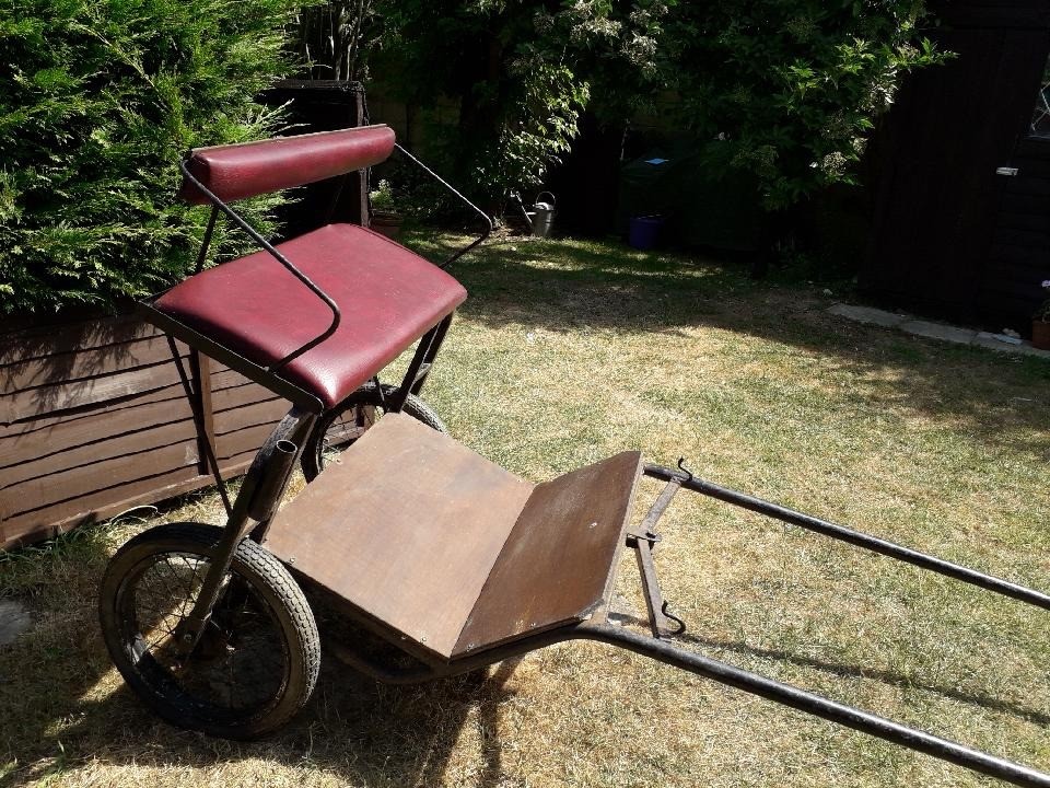 Pony exercise cart in Chippenham, Wiltshire Gumtree