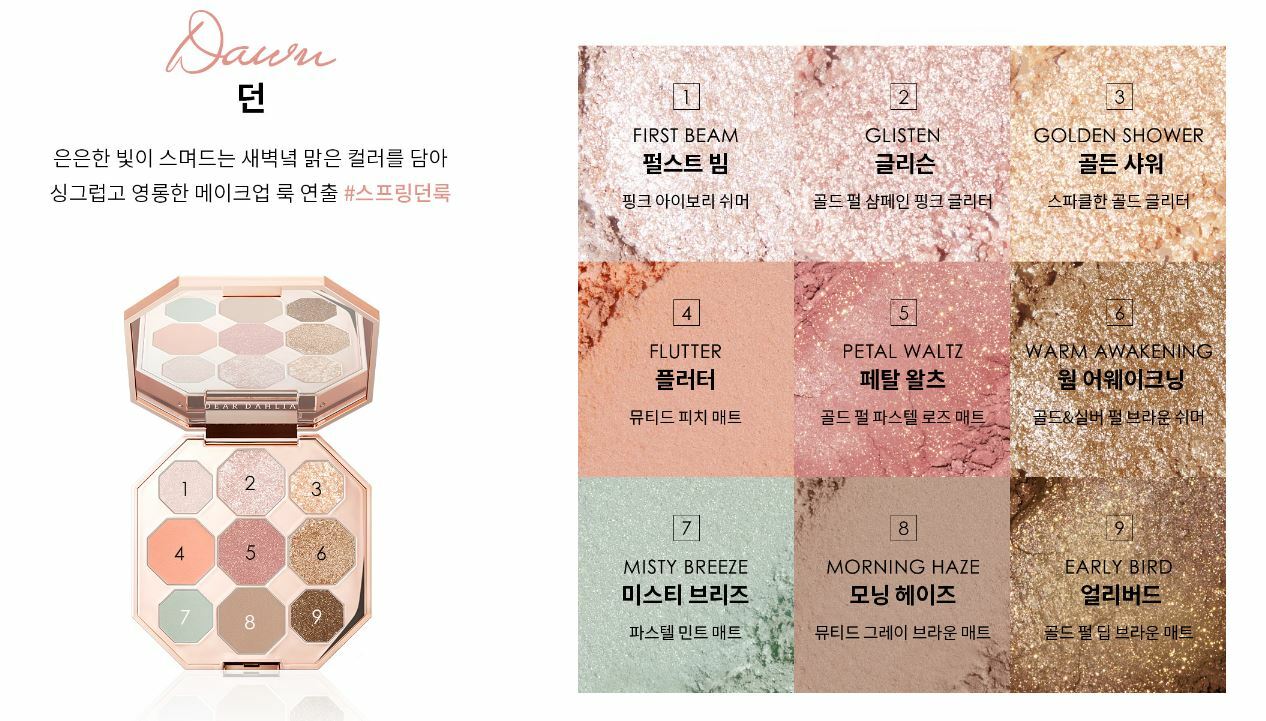 Dear dahlia blooming