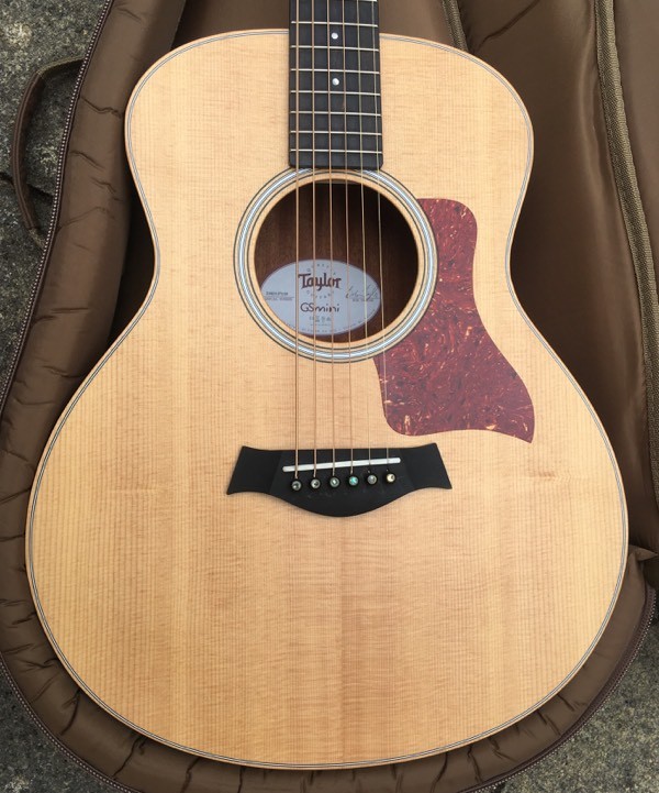 Taylor GS Mini Travel Guitar in Exeter, Devon Gumtree